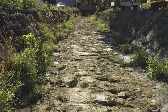 Ausgetrocknetes Nafla Flussbett in Feldkirch-Altenstadt Ausgetrocknetes Nafla Flussbett in Feldkirch-Altenstadt