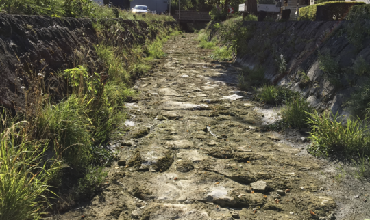 Ausgetrocknetes Nafla Flussbett in Feldkirch-Altenstadt Ausgetrocknetes Nafla Flussbett in Feldkirch-Altenstadt