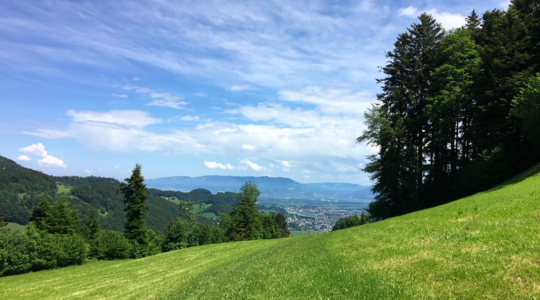 Bildschirmfoto-2018-06-05-um-15