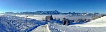 januar 2017