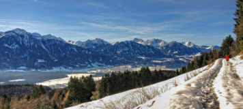 januar 2016