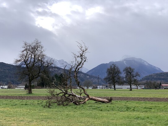 Stürmischer Februar 2020