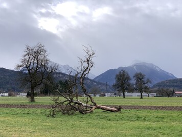 Stürmischer Februar 2020