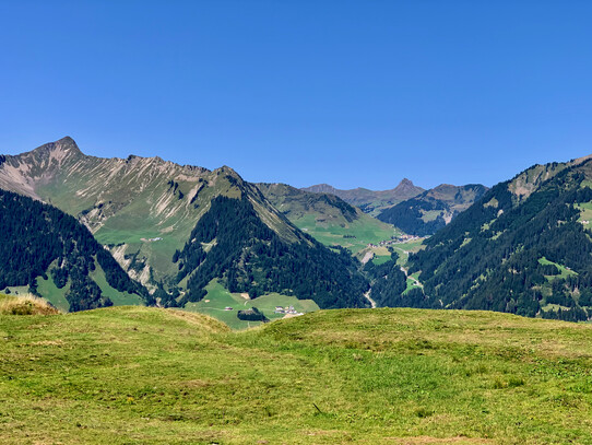 Sonntag%20Stein%20Mittagsspitze%20Blick