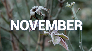 November_Wetterrueckblick